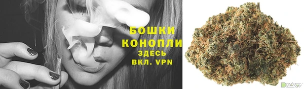 стафф Беломорск