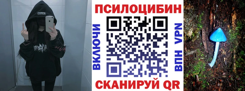 ссылка на мегу онион  Кемерово  Псилоцибиновые грибы MAGIC MUSHROOMS 